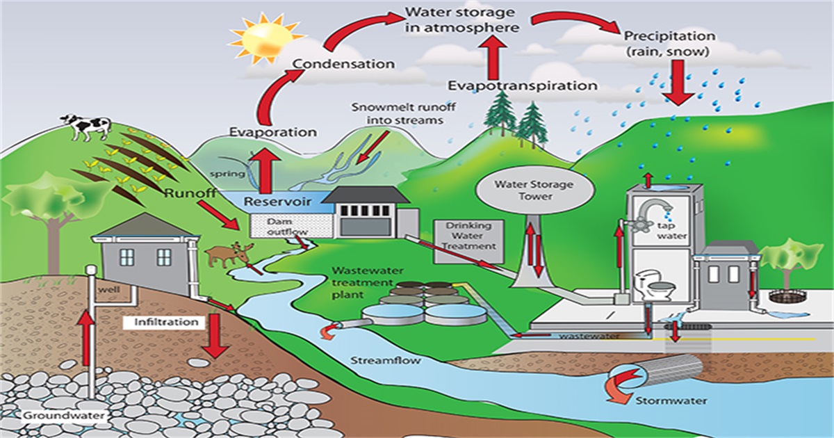 Graphical abstract